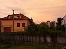 Třibřichy